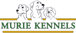 Murie Kennels